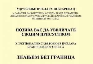 Savetovanje pčelara u nedelju 12. februara - Hit Radio Pozarevac, Branicevski okrug