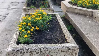 Apel građanima da čuvaju cveće i javne zelene površine