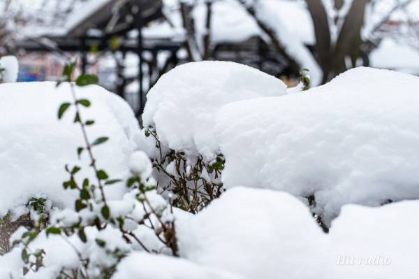 SNEG veje u celoj Srbiji