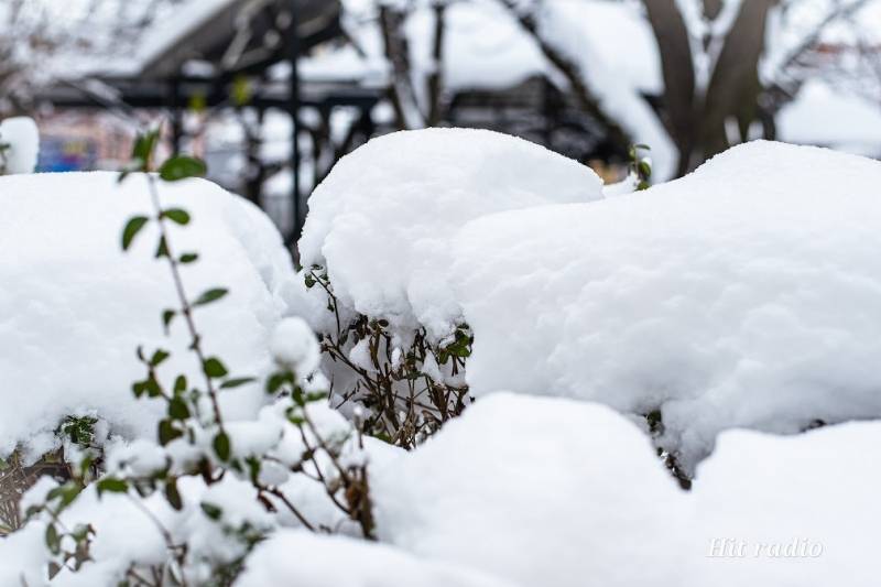 SNEG veje u celoj Srbiji
