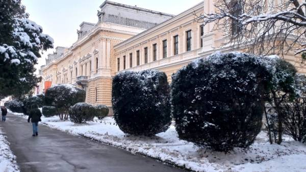 Grad Požarevac i ove godine finansira projekte udruženja iz oblasti zaštite OSI