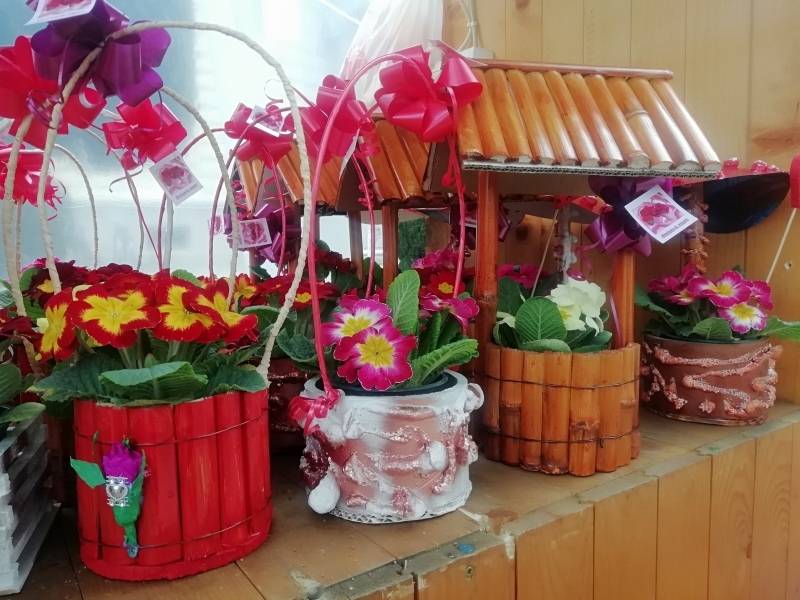 Obaveštenje o zauzeću javne površine tokom osmomartovskih praznika