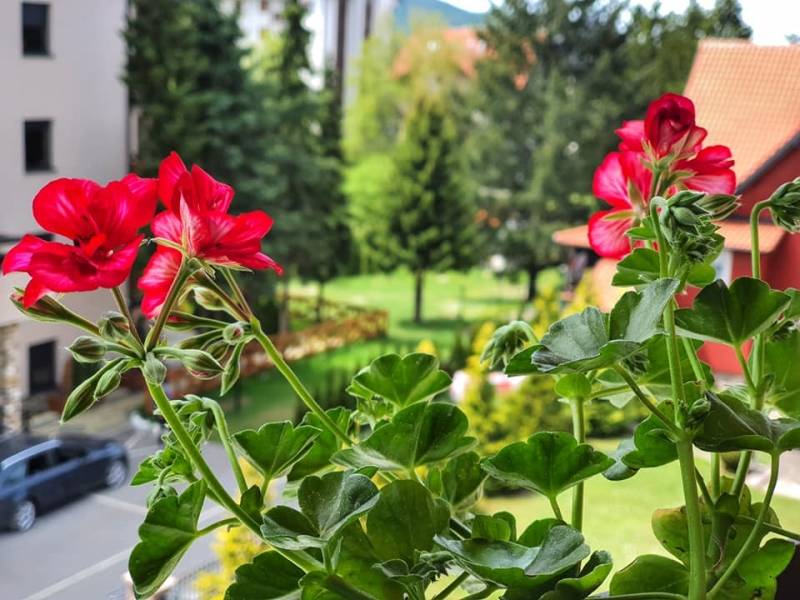 Gde otputovati za praznike – kakva je ponuda turističkih centara u Srbiji