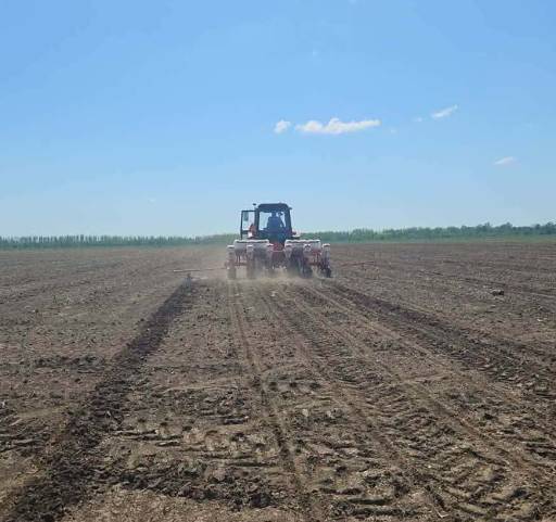 Počela setva jarih kultura u Braničevskom okrugu