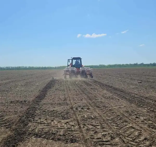 Počela setva jarih kultura u Braničevskom okrugu