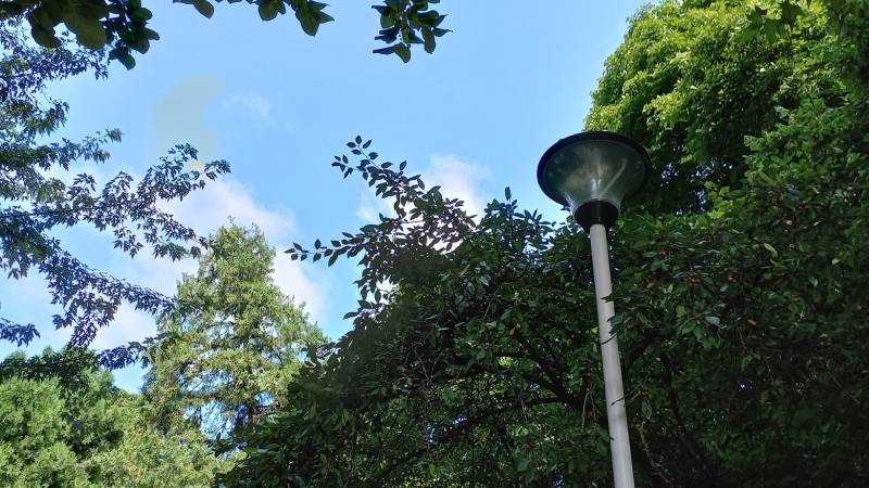 Deo Požarevca u četvrtak bez struje