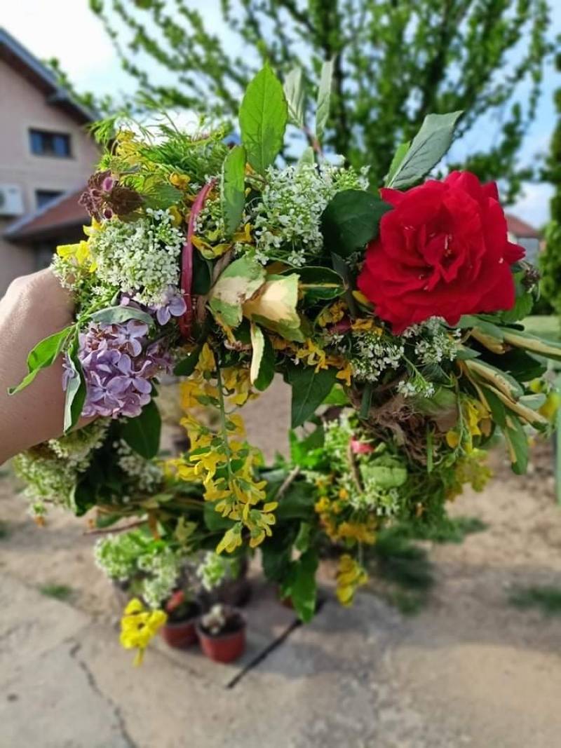 Danas je Đurđevdan, običaj je da se pletu venčići od lekovitih trava