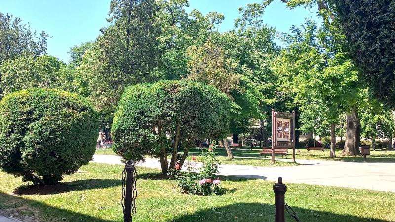 Kakvo je leto pred nama