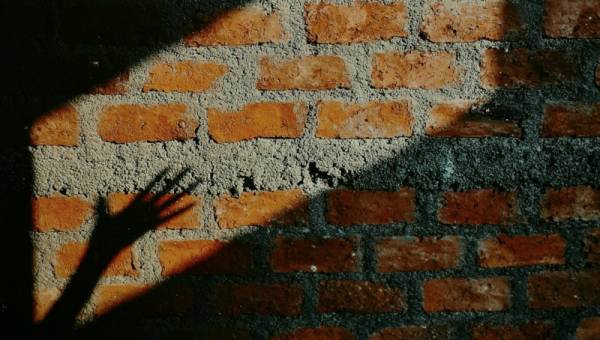 Horor festival u Doljevcu, projekcije u klanici, pobedniku „Zlatna macola“