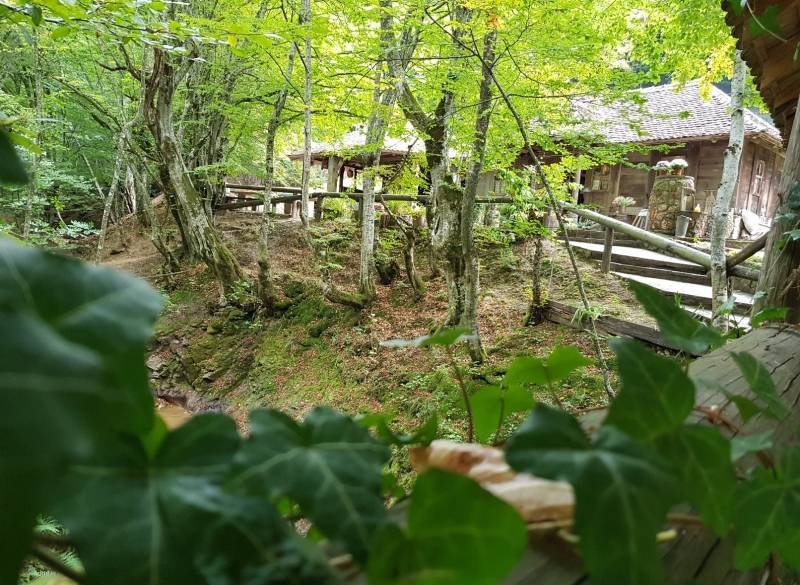 Sela Ždrelo, Tršić i Bela Voda izabrana su za najbolja turistička sela u zemlji