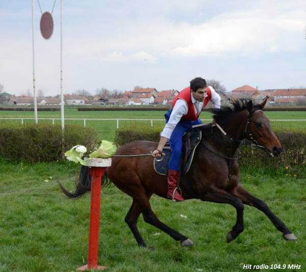 Danas kvalifikacije za Ljubičevski višeboj na požarevačkom hipodromu