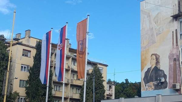 Od danas sistematska deratizacija u Požarevcu