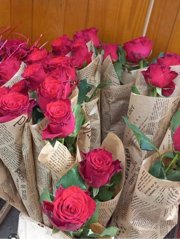 Crvena, bela ili žuta ruža - svaka boja ima svoje značenje