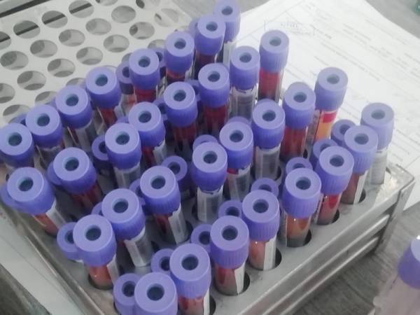 Budi human i ovog ponedeljka