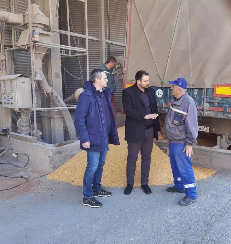 Merkantilni kukuruz kao pomoć uzgajivačima mlečnih krava