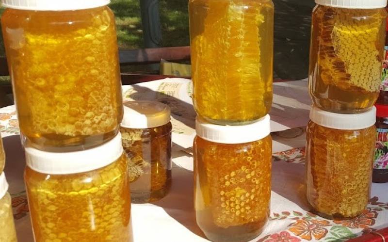 “Dani mlavsko homoljskih pčelara” u Kamenovu