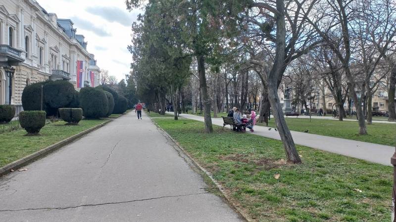 Visoke koncentracije polena tuje i čempresa