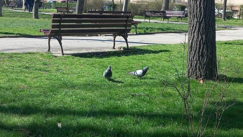 Do petka temperature iznad proseka