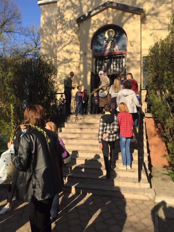 Danas je Lazareva subota ili Vrbica