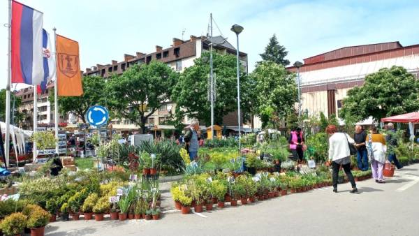 Festival cveća 6. i 7. maja u Požarevcu