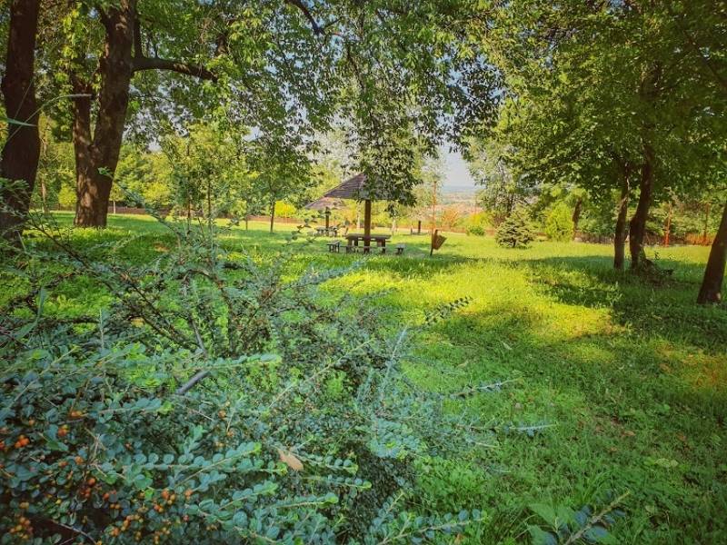 Danas se obeležava Dan planete Zemlje