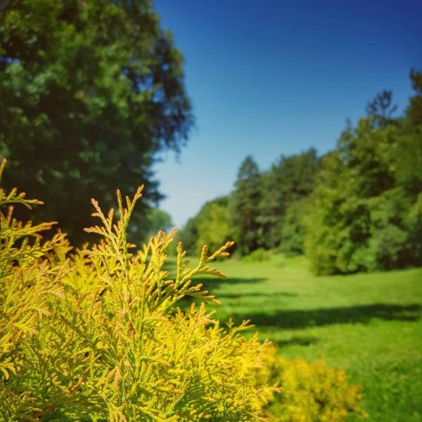 Obeležava se 1. maj - Međunarodni praznik rada