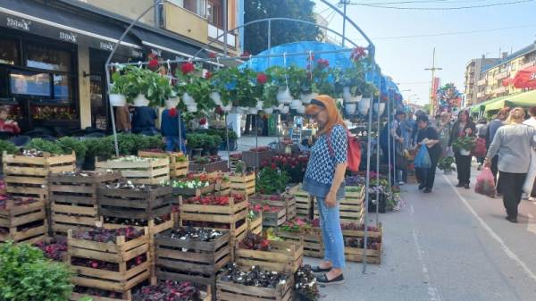 Otvoren Festival cveća u Požarevcu (FOTO)