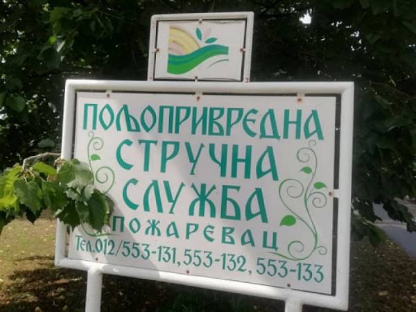 DAN POLJA OZIMIH STRNIH ŽITA u četvrtak 8. juna