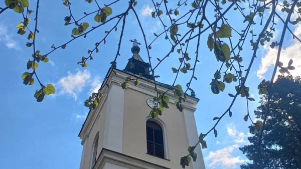 Danas je Duhovski ponedeljak, prema verovanju dobar dan za početak poslova