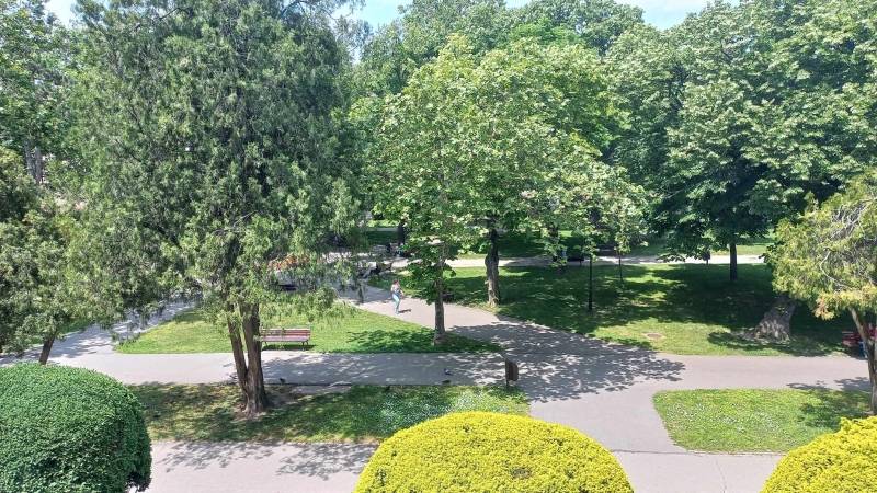 Sutra uveče suzbijanje komaraca na teritoriji grada