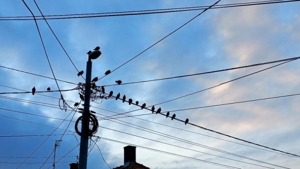 Danas bez struje deo Velikog Gradišta i Požarevca