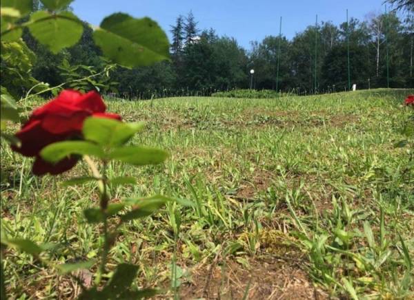 Gasi se crveni meteo-alarm, ali samo na dan – pridržavajte se saveta