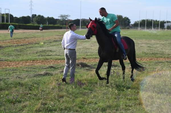Višebojci počeli sa treninzima na požarevačkom hipodromu