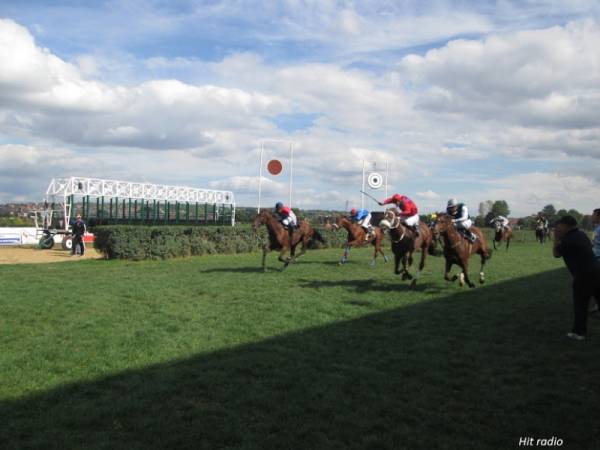 60. LJKI: Program trka na Hipodromu