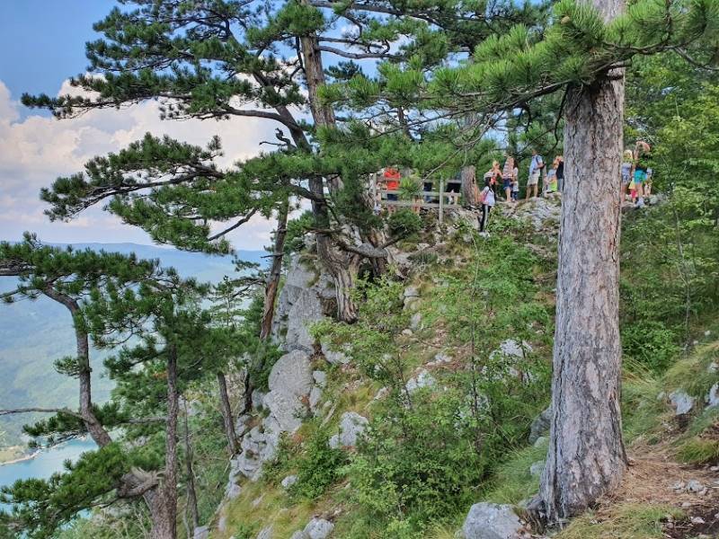 Bliži se nacionalni Dan pešačenja