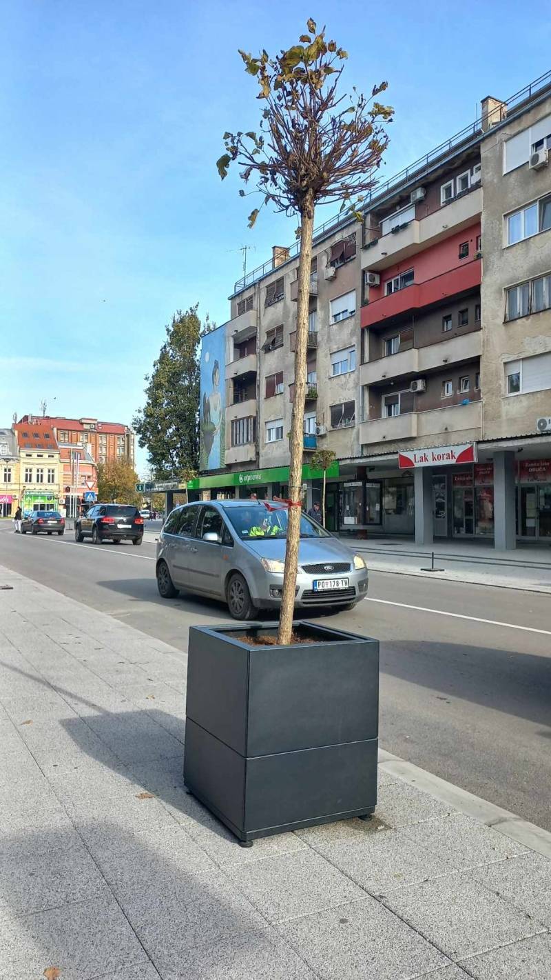 Novo zelenilo za Tabačku čaršiju