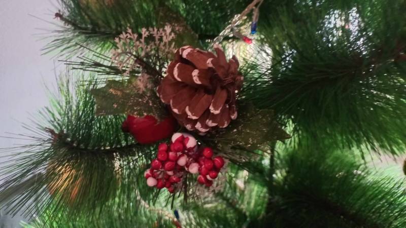 Katolički vernici danas slave Božić