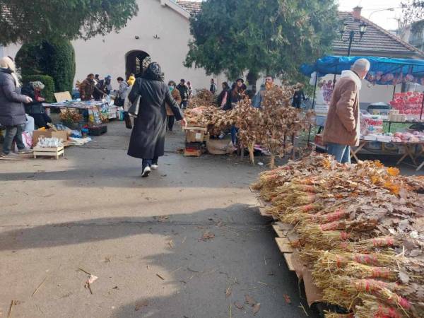 Požarevljani se pripremaju za Badnji dan i Božić (FOTO)