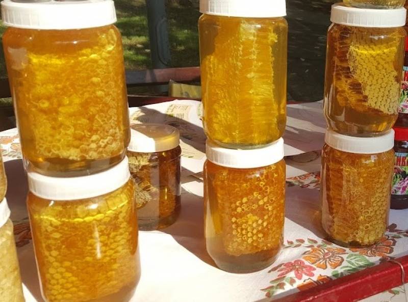 Savetovanje pčelara Braničevskog okruga “Edukacijom do ostvarivanja ciljeva”