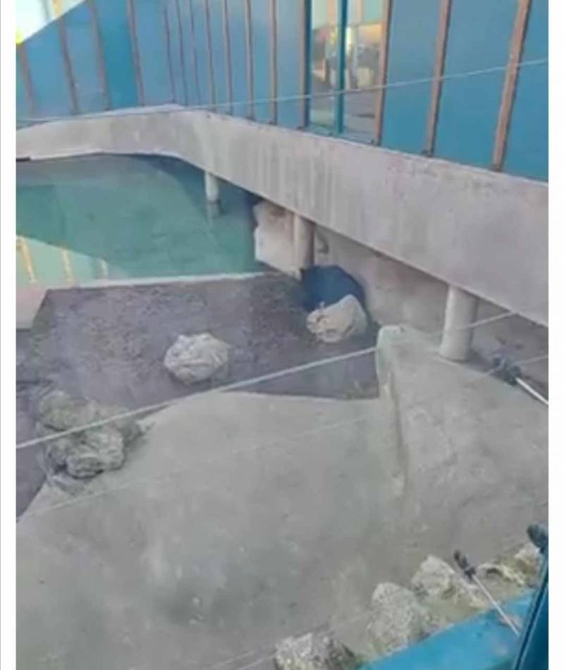 Uroš i MIša ostali napolju, skraćuje se zima