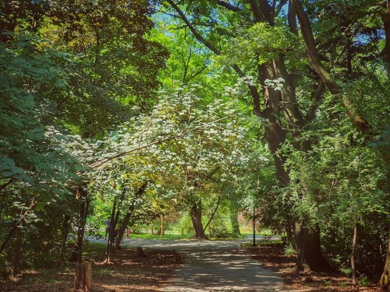 Danas je Međunarodni dan šuma