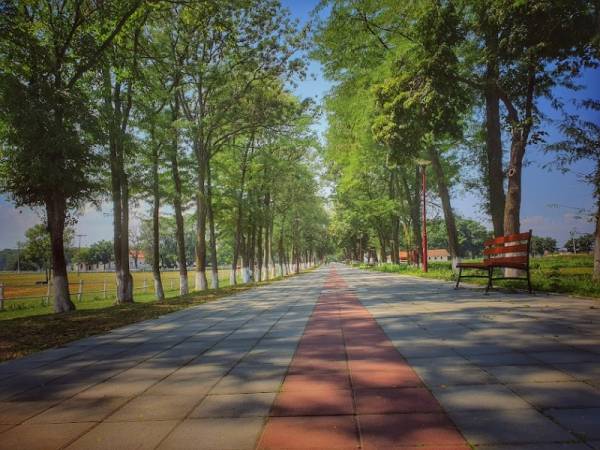 Stiže afrički letnji talas – temperatura do 31 stepen