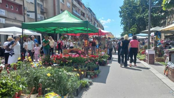 Festival cveća u Požarevcu (FOTO)