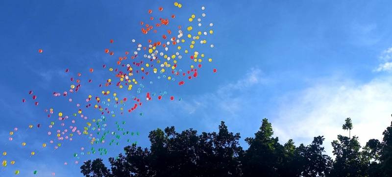 Sutra tradicionalna Balonijada u Požarevcu