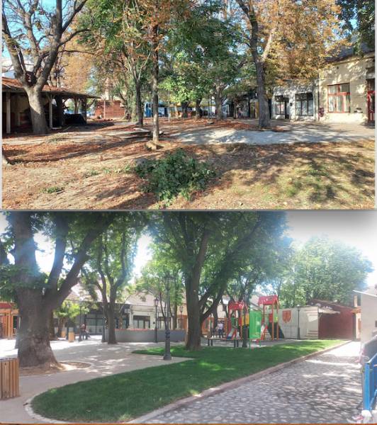 Čikos, nova osvežena oaza Požarevca (FOTO)