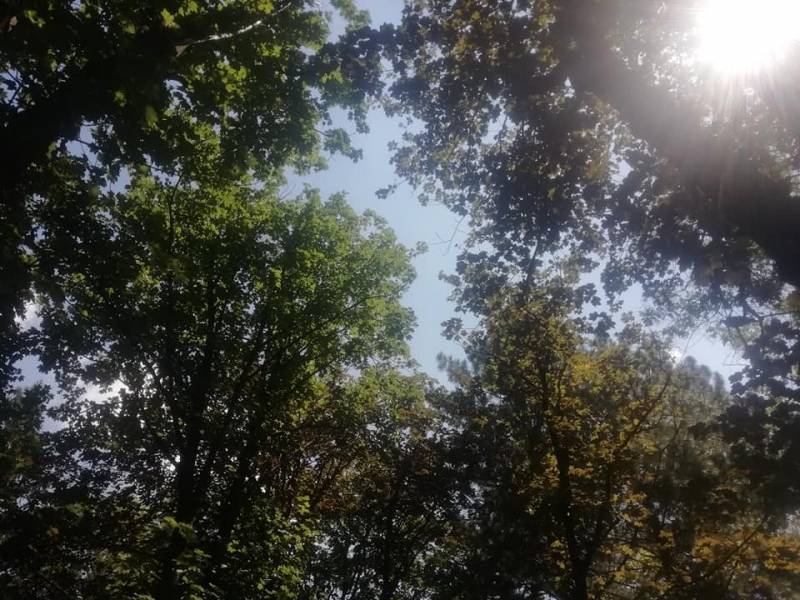 RHMZ upozorava na toplotni talas,u petak i subotu temperatura do 40 stepeni Celzijusa