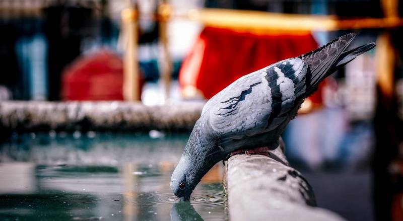 Kako se zaštititi od velikih vrućina