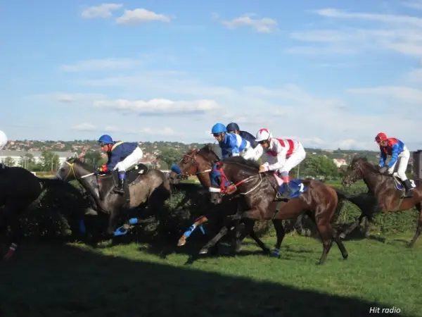 Ivanjdanski sastanak na požarevačkom hipodromu 6. jula