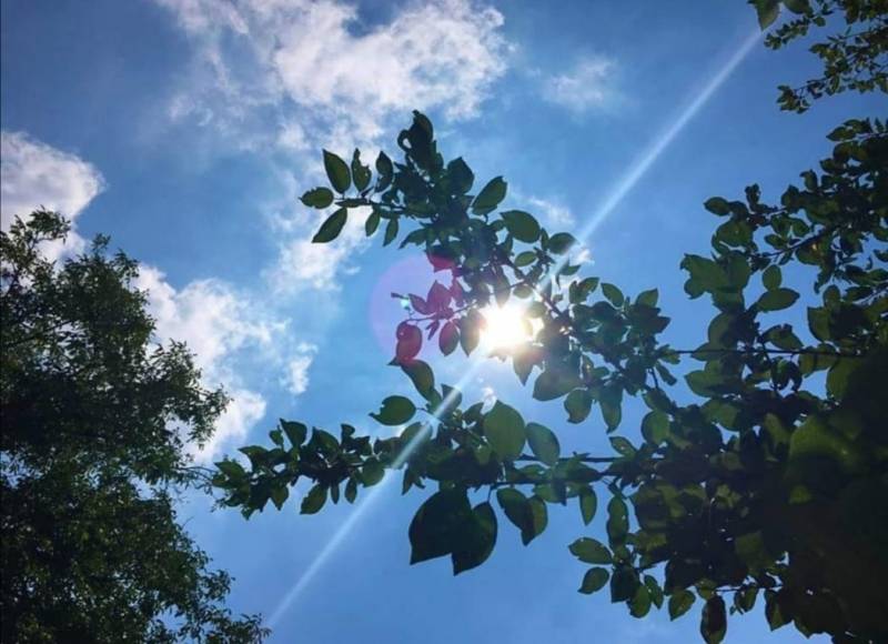 Da li je potrebno uzimati vitamin D tokom leta?