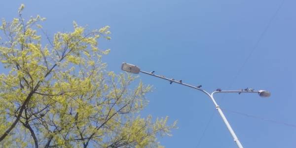 Gde građani mogu prijaviti kvar na uličnoj rasveti